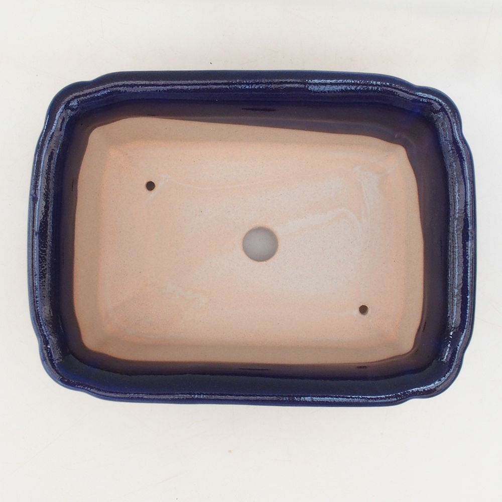 Ciotola per bonsai H50 - 17 x 12,5 x 5,5 cm - blu