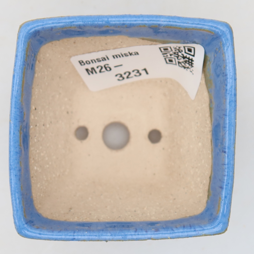 Ciotola bonsai in ceramica 5,5 x 5,5 x 4,5 cm, colore blu