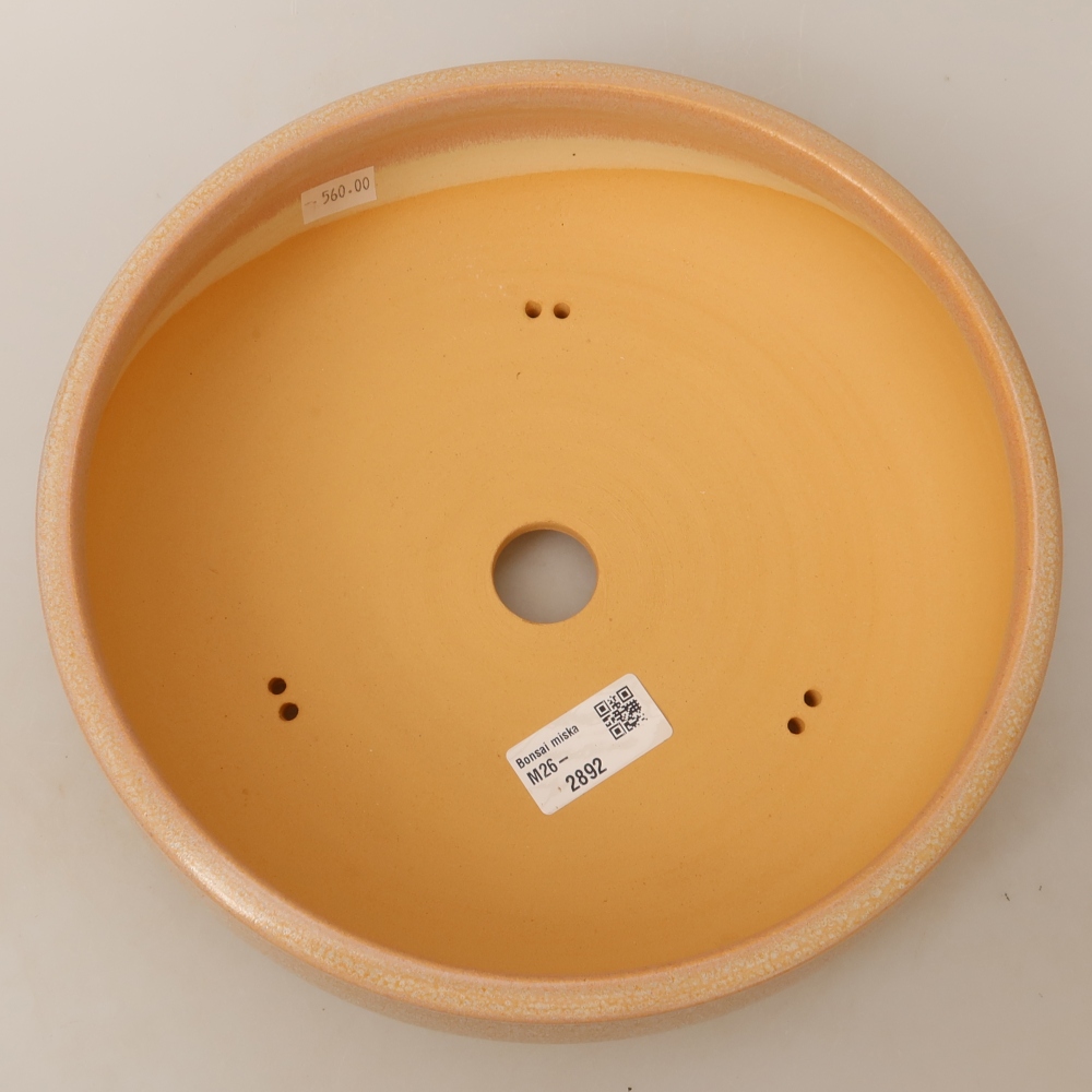 Ciotola bonsai in ceramica 24 x 24 x 7 cm, colore beige