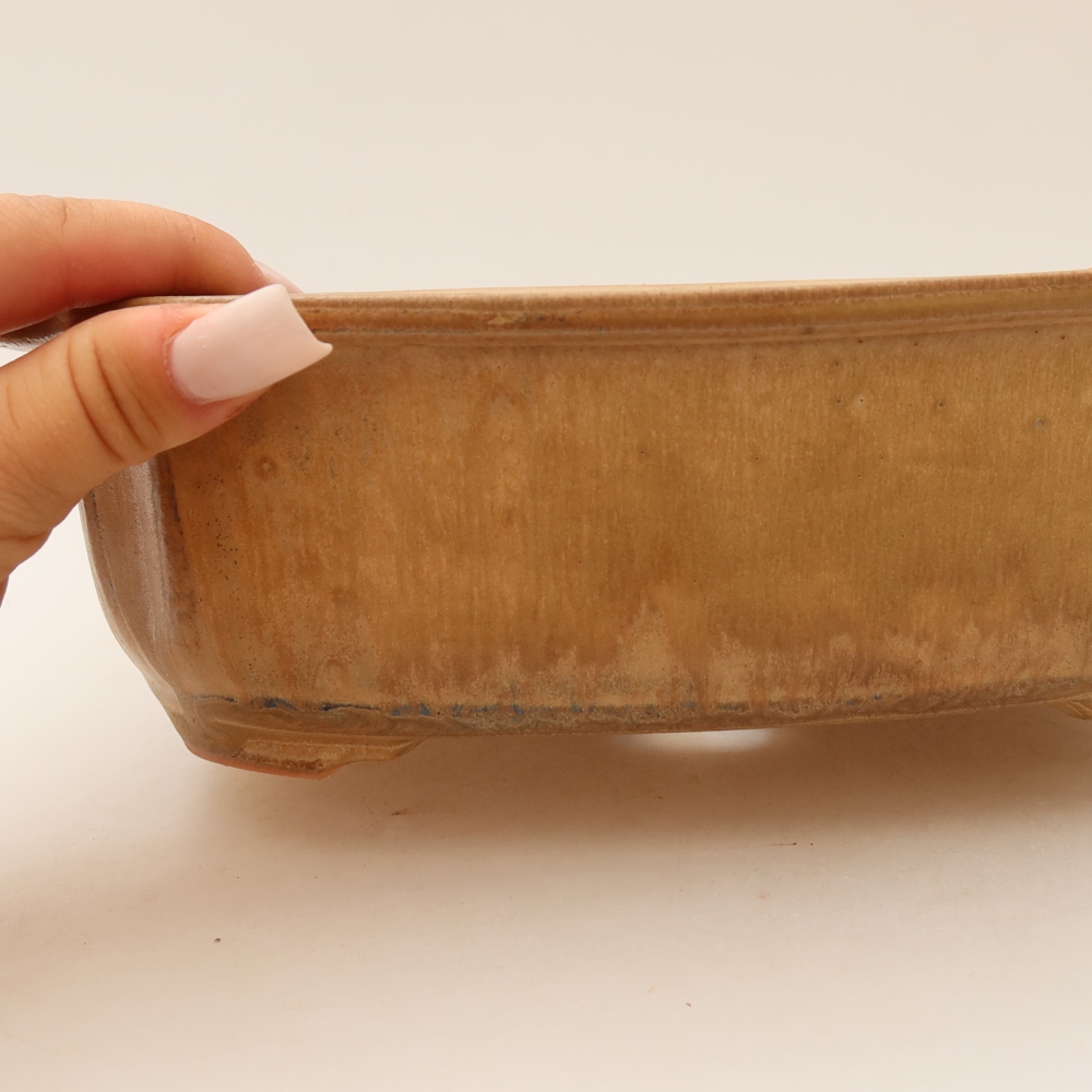 Vaso da bonsai in ceramica 24,5 x 21 x 7,5 cm, colore beige
