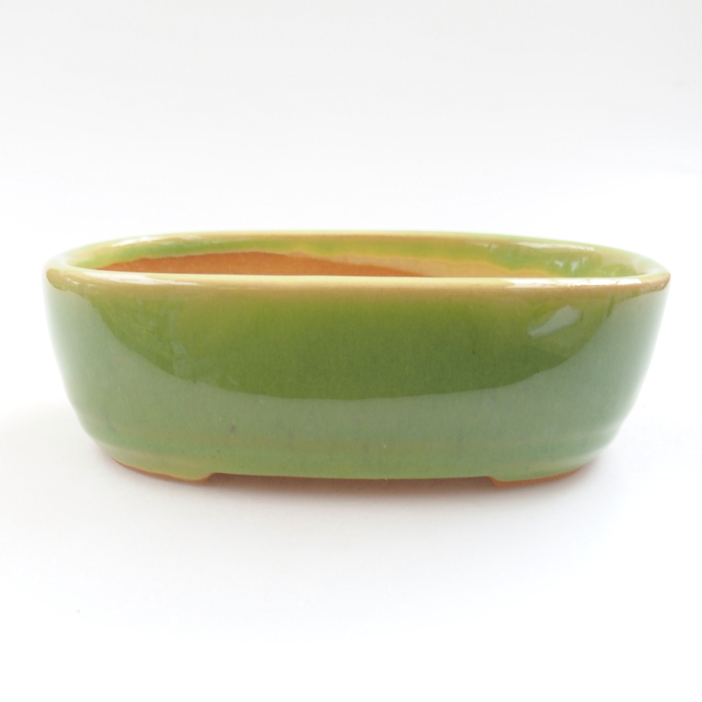 Ciotola bonsai in ceramica 22 x 17 x 5 cm, verde