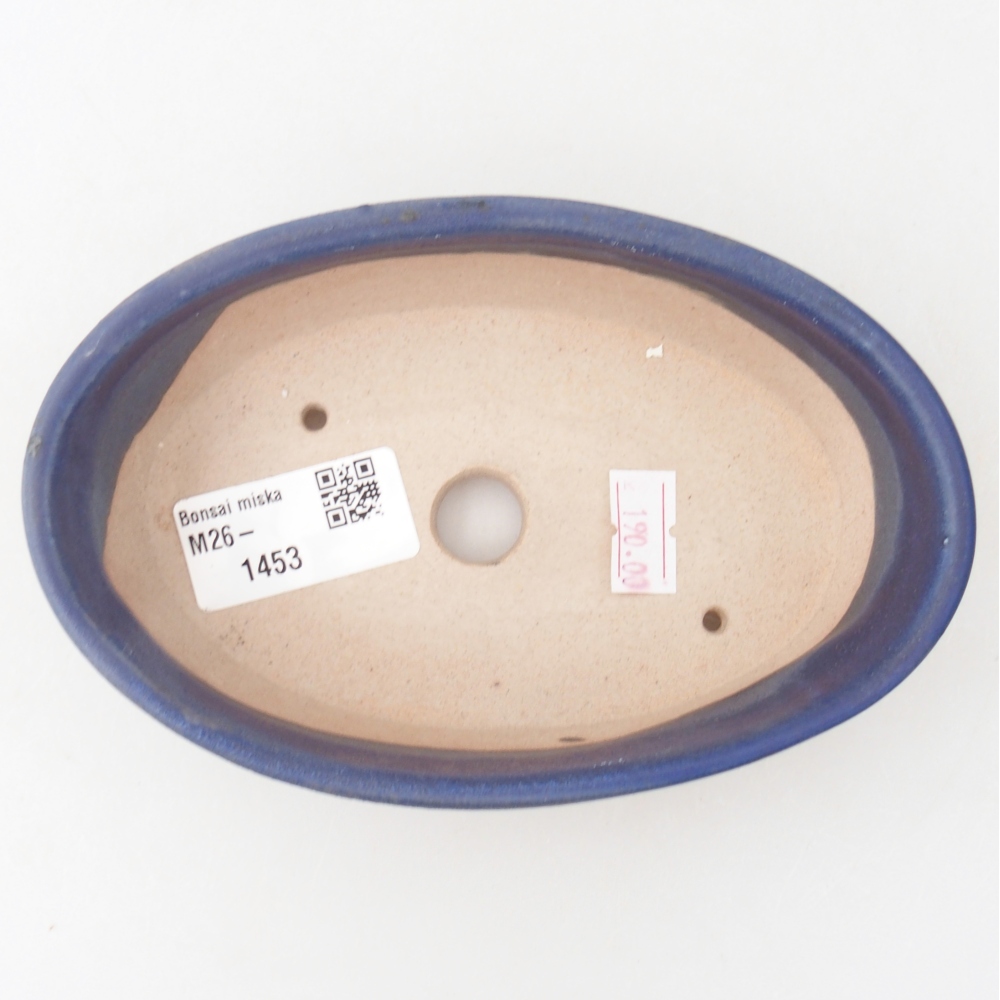 Ciotola per bonsai in ceramica 15 x 9,5 x 4 cm, colore blu