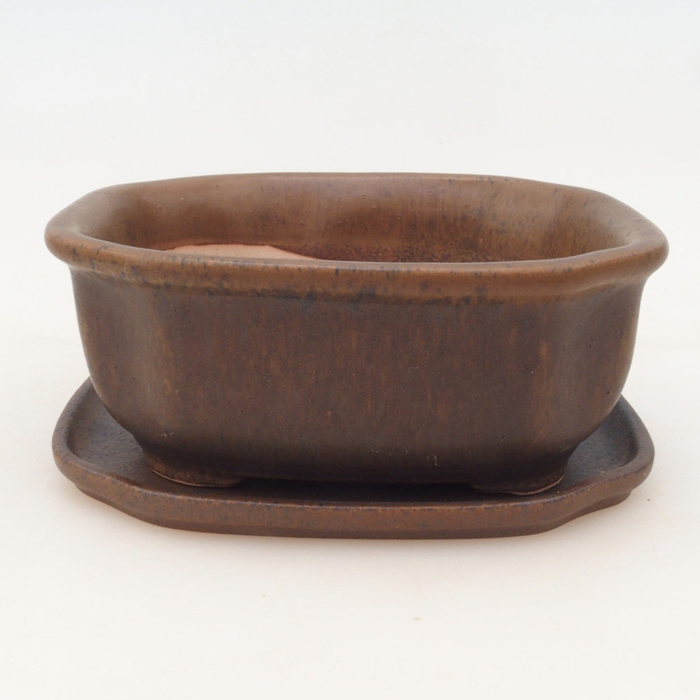 Ciotola bonsai + piattino H32 - marrone