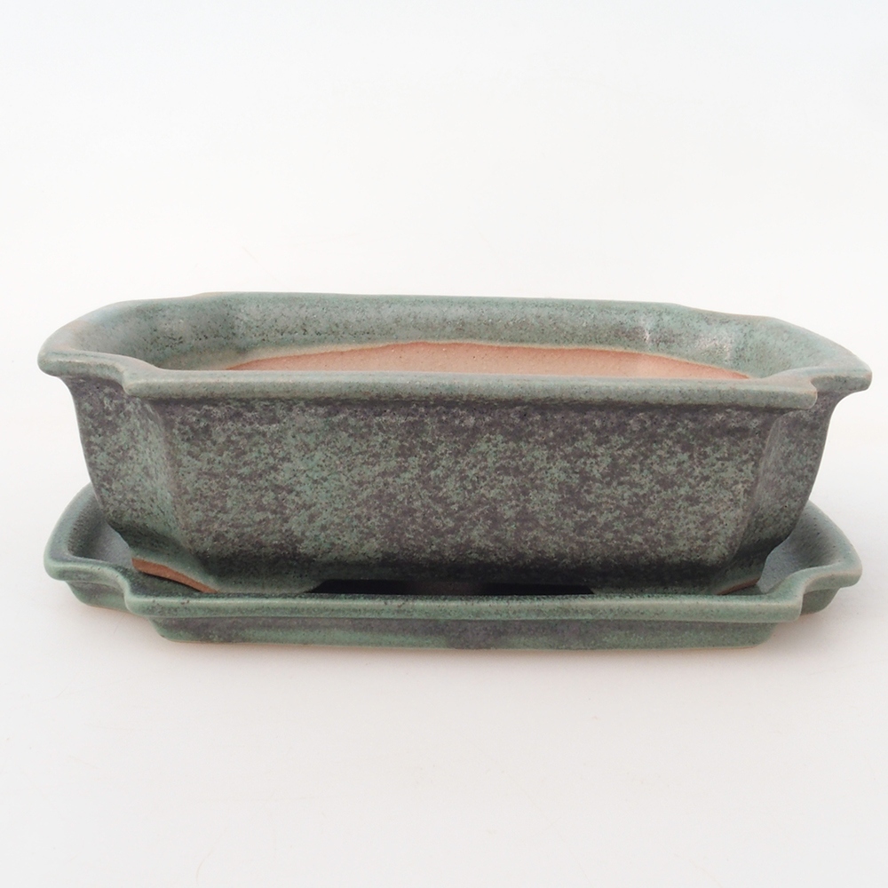 Ciotola bonsai + piattino H17 - 15 x 10 x 4 cm.