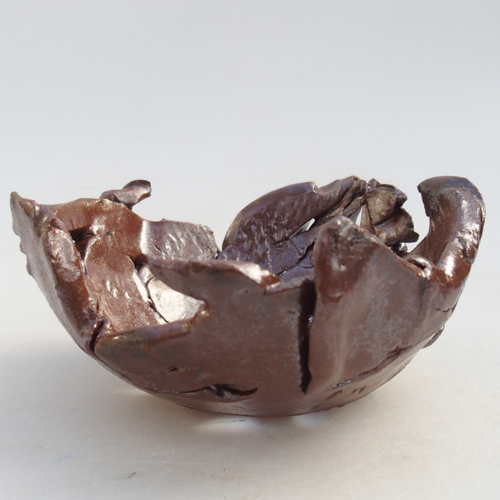 Conchiglia in ceramica 10 x 10 x 5 cm , colore marrone