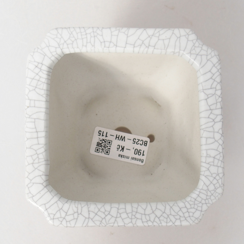 Ciotola bonsai in ceramica 11 x 11 x 7 cm, colore raku