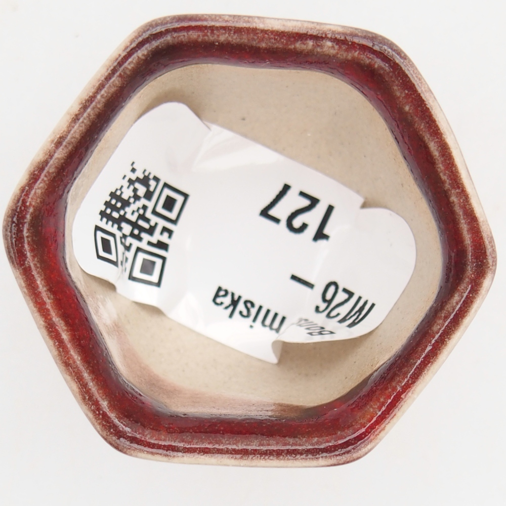 Mini bonsai 4 x 4 x 3 cm, colore rosso