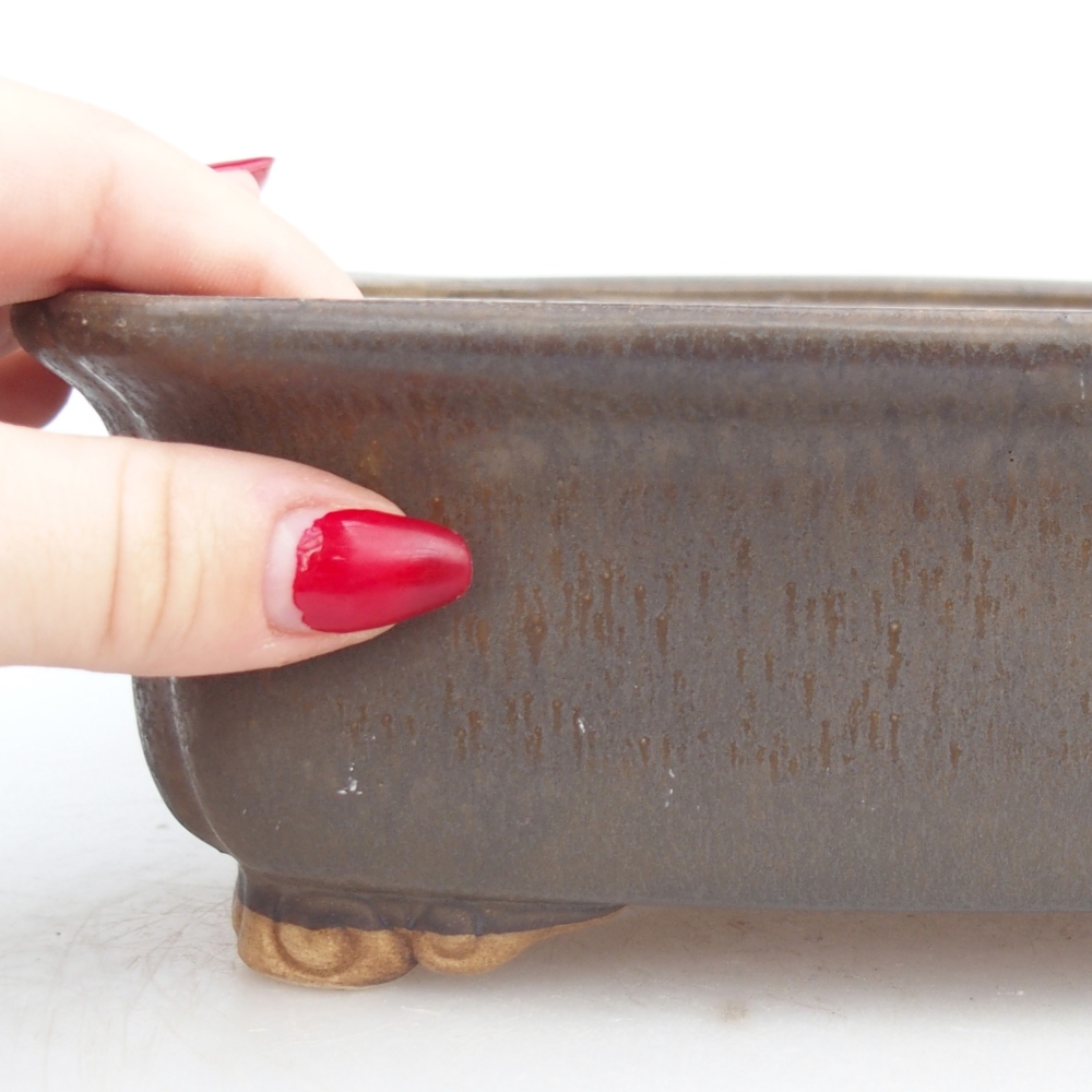 Ciotola per bonsai in ceramica 25 x 20 x 7,5 cm, marrone