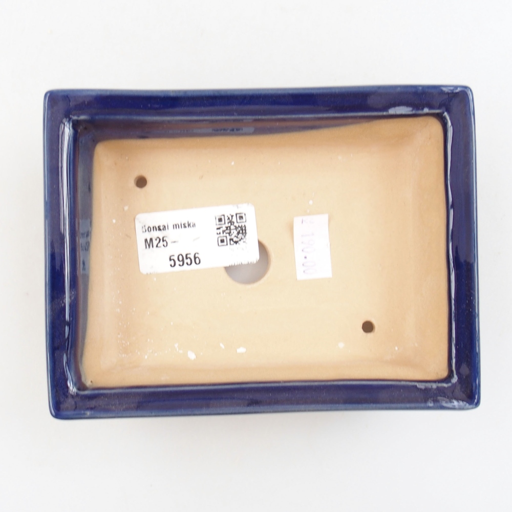 Ciotola bonsai in ceramica 22 x 17 x 5 cm, verde