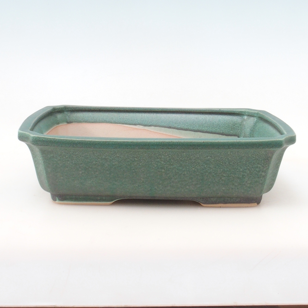 Ciotola per bonsai H07 - 30 x 20,5 x 8 cm - verde