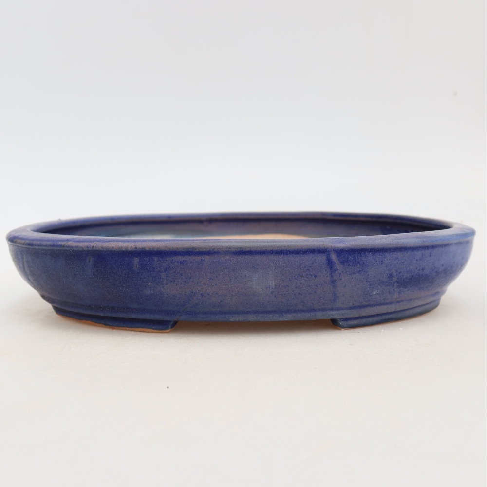 Ciotola bonsai in ceramica 24,5 x 20 x 4 cm, colore blu
