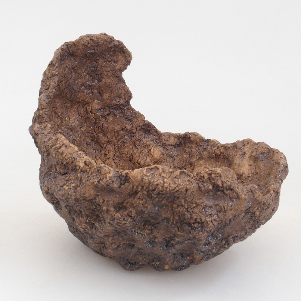 Conchiglia in ceramica 10 x 8 x 10 cm , colore marrone