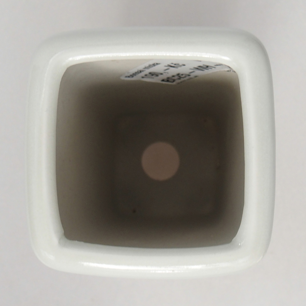 Ciotola per bonsai in ceramica 5,5 x 5,5 x 12 cm, colore bianco