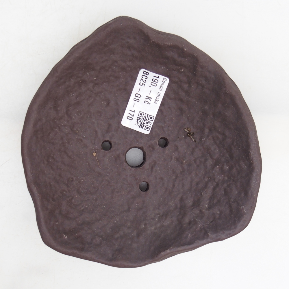 Conchiglia in ceramica 15,5 x 15 x 4 cm , colore marrone