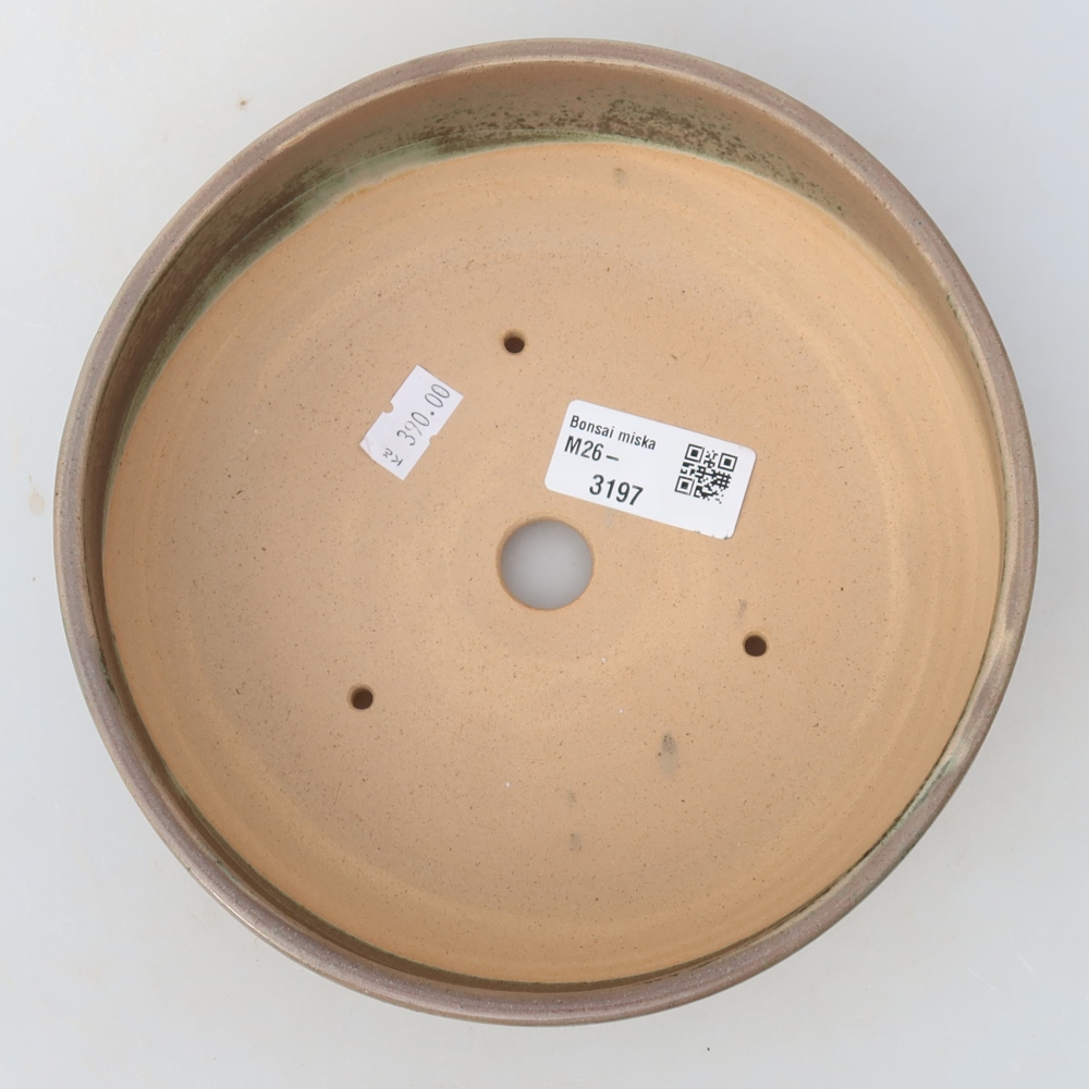 Vaso da bonsai in ceramica 18 x 18 x 6,5 cm, colore beige