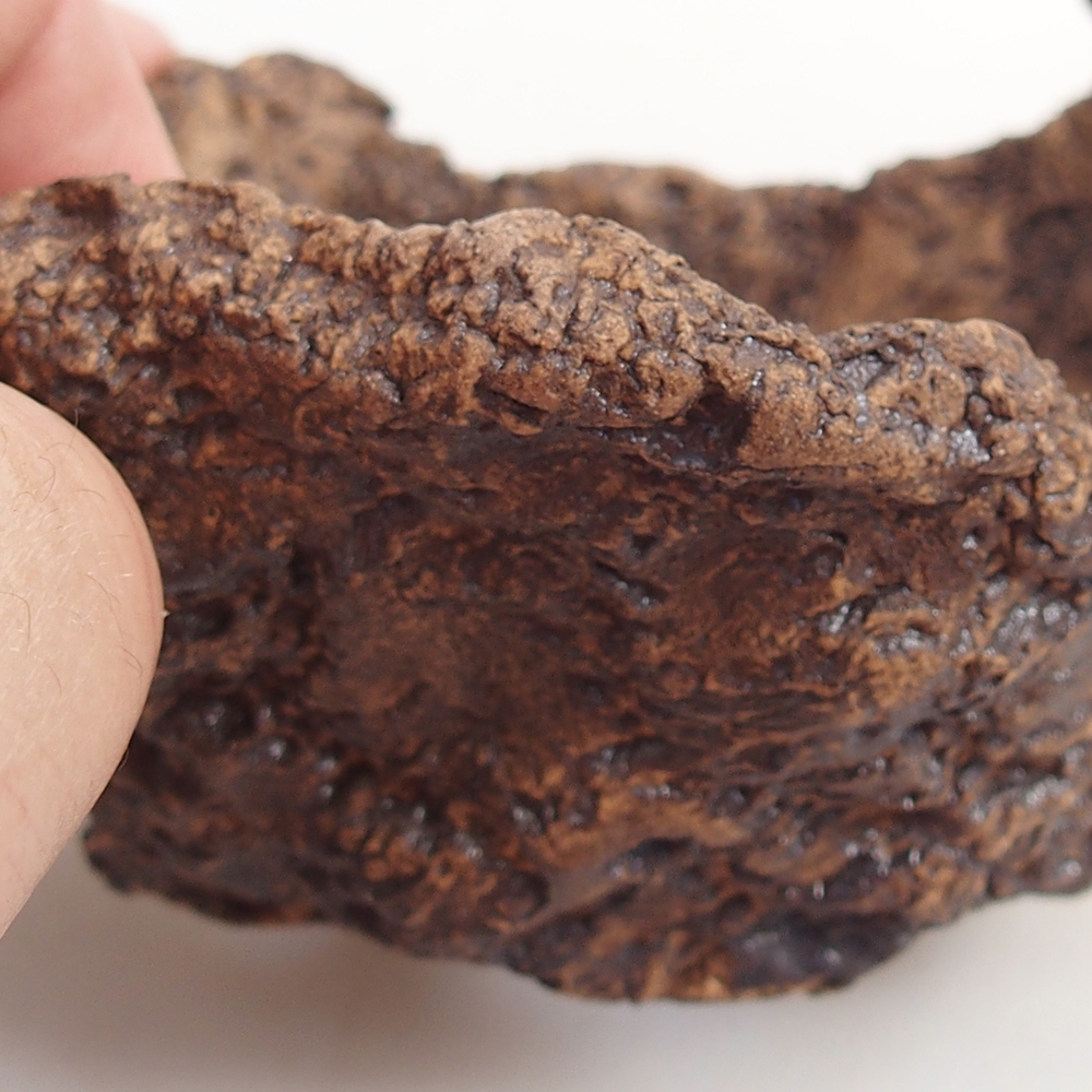 Conchiglia in ceramica 9 x 8 x 7 cm , colore marrone