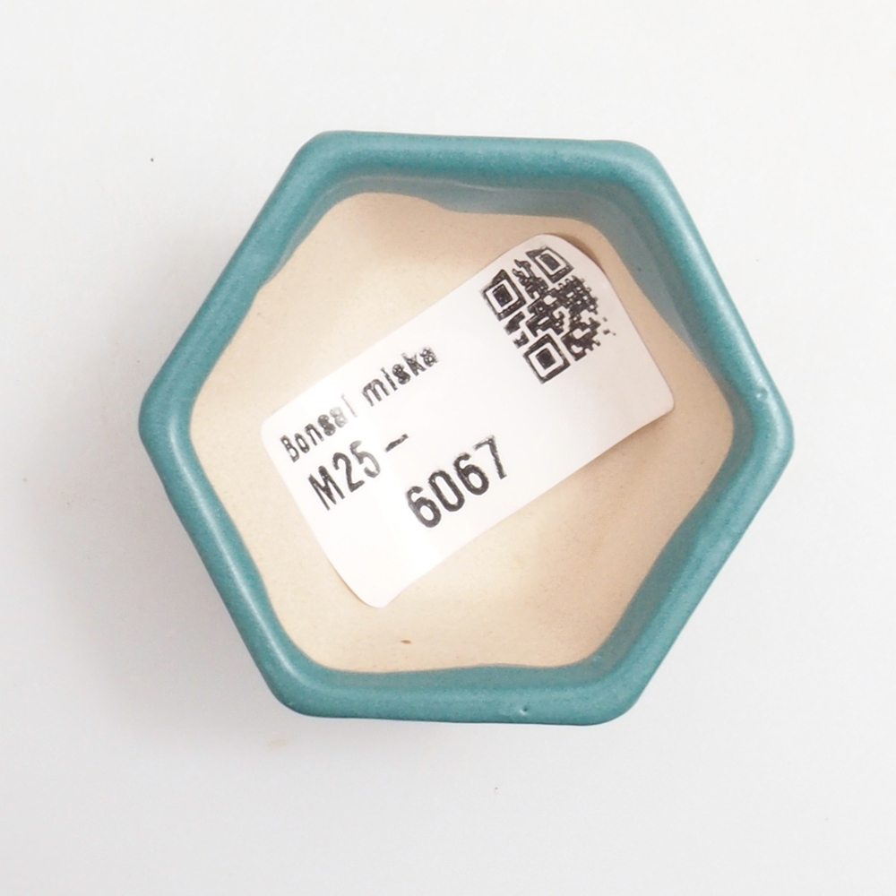 Ciotola bonsai in ceramica 6,5 x 5,5 x 4 cm, colore blu