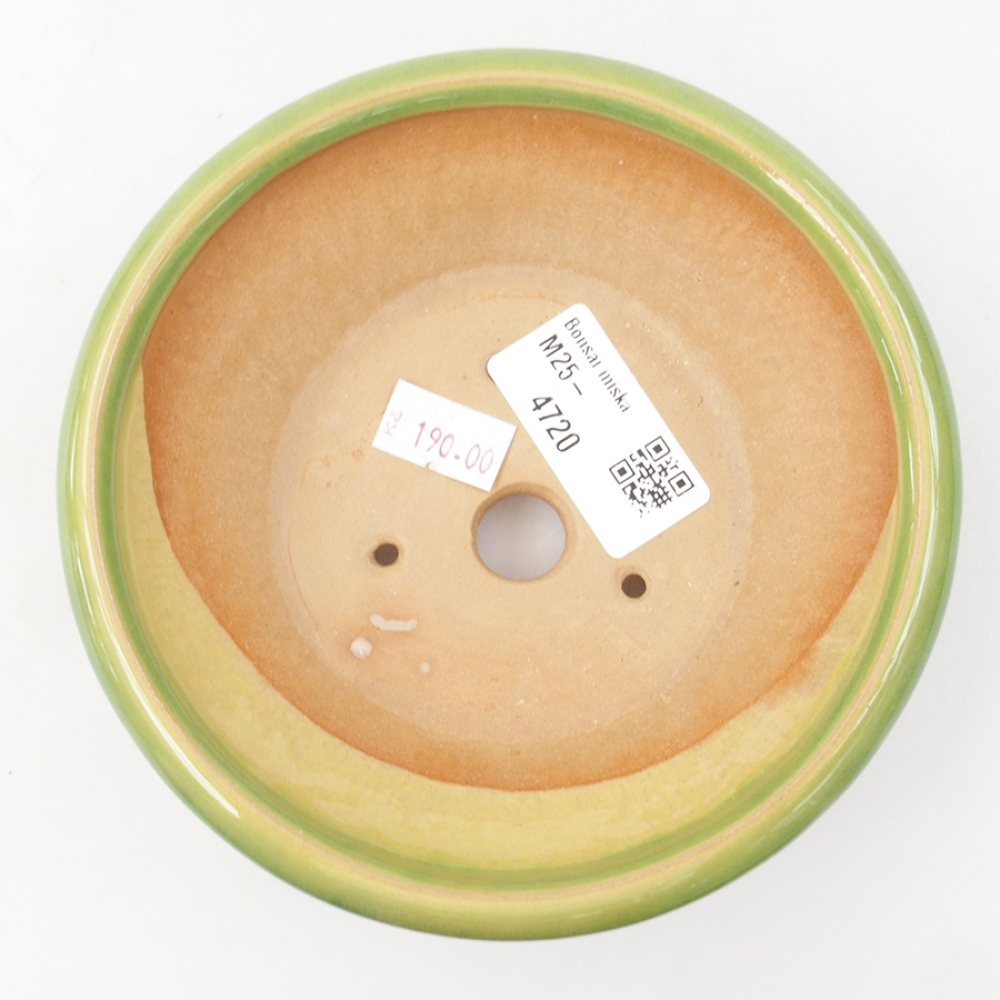 Ciotola bonsai in ceramica 13,5 x 13,5 x 5 cm, verde