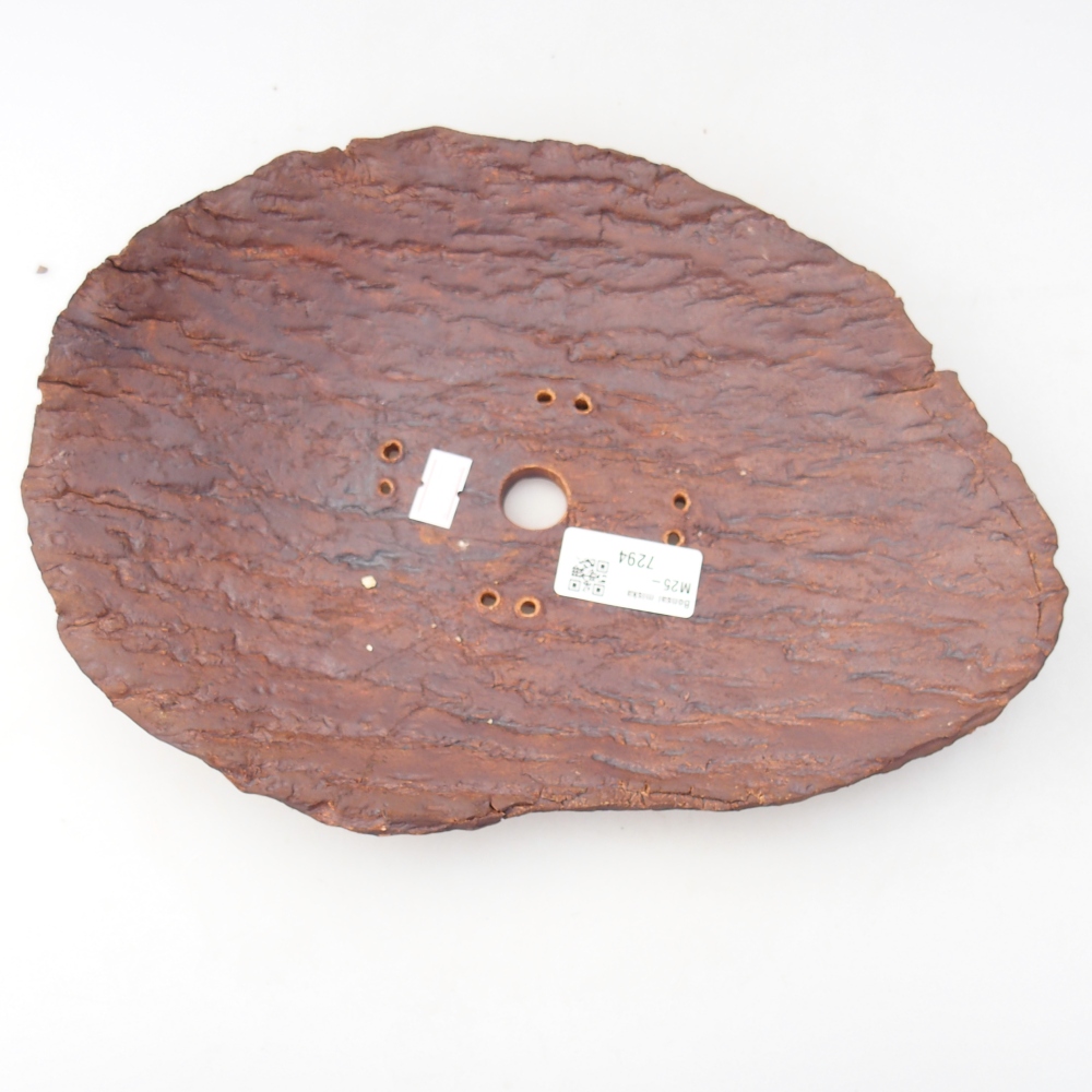 Conchiglia in ceramica 28 x 20 x 5 cm , colore marrone