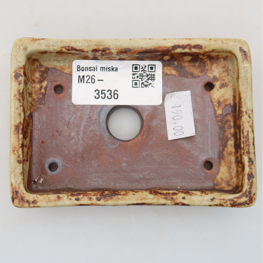 Ciotola per bonsai in ceramica 10 x 7 x 2 cm, colore beige
