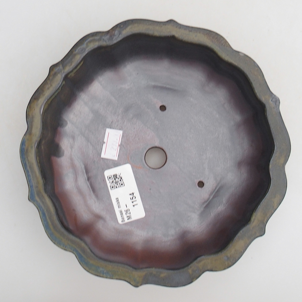 Ciotola per bonsai in ceramica 18 x 18 x 4,5 cm, marrone