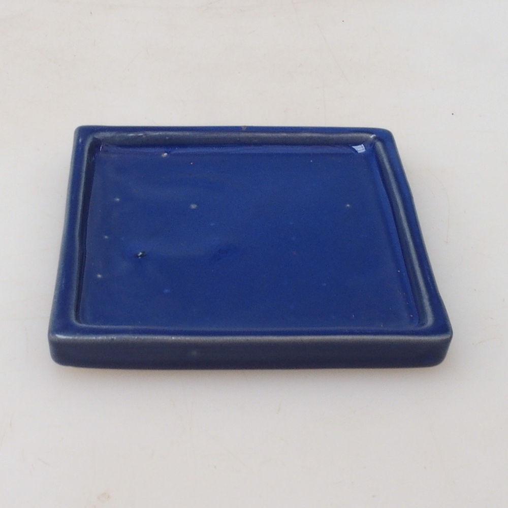 Vassoio per bonsai quadrato M - 10 x 10 x 1,5 cm - blu