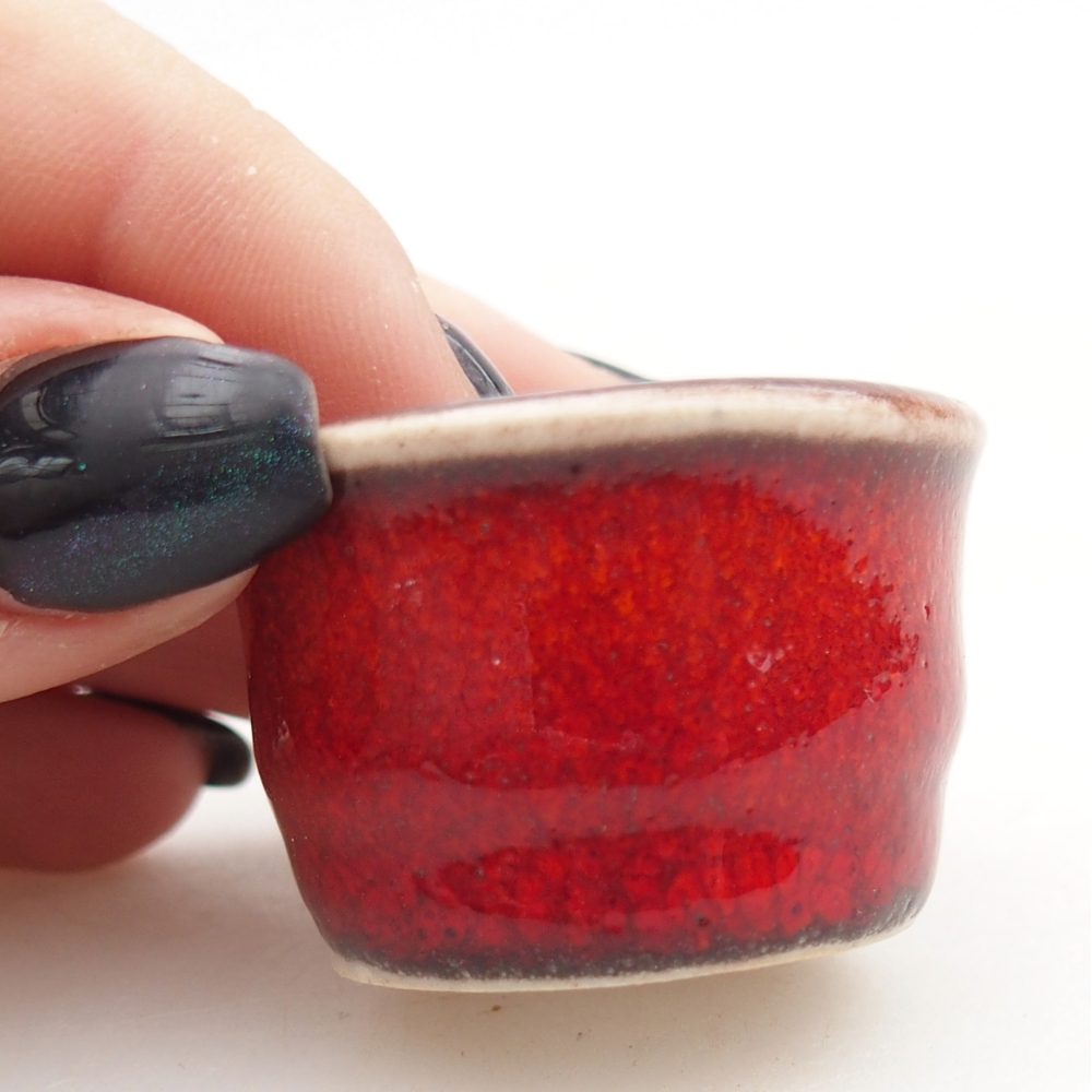 Mini bonsai 3,5 x 3,5 x 2,5 cm, colore rosso