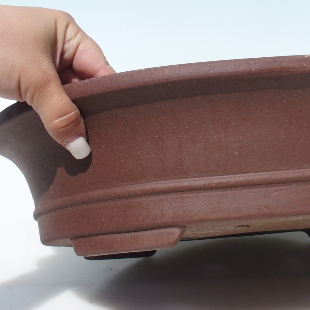 Ciotola per bonsai 41,5 x 33,5 x 10 cm betulla marrone