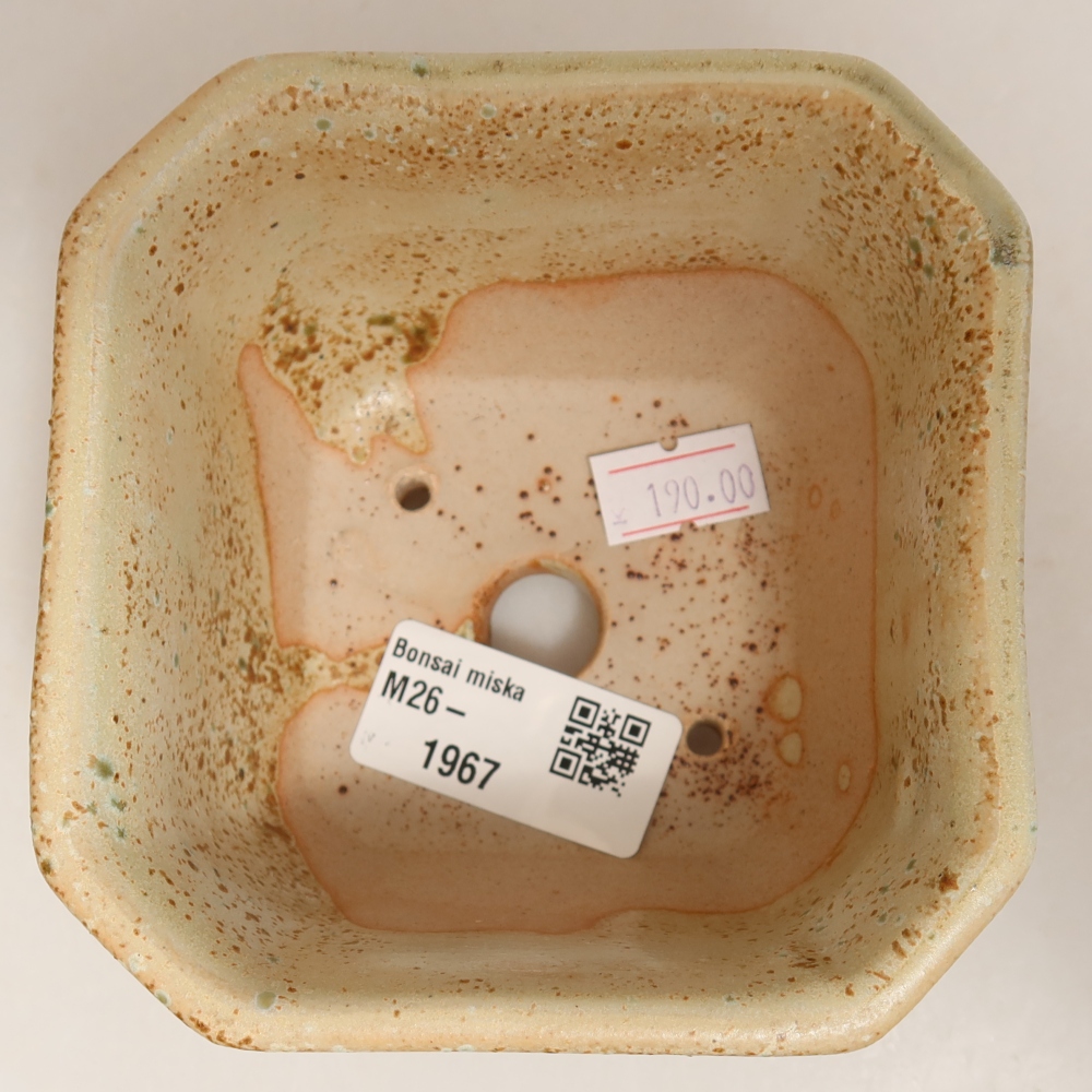 Vaso da bonsai in ceramica 10 x 10 x 6,5 cm, colore verde