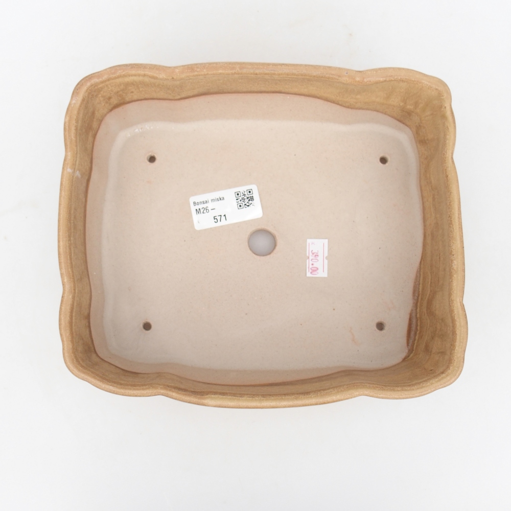 Ciotola per bonsai in ceramica 20 x 17,5 x 7 cm, colore beige
