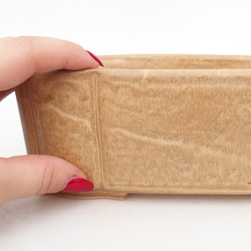 Ciotola per bonsai in ceramica 20 x 17,5 x 7 cm, colore beige