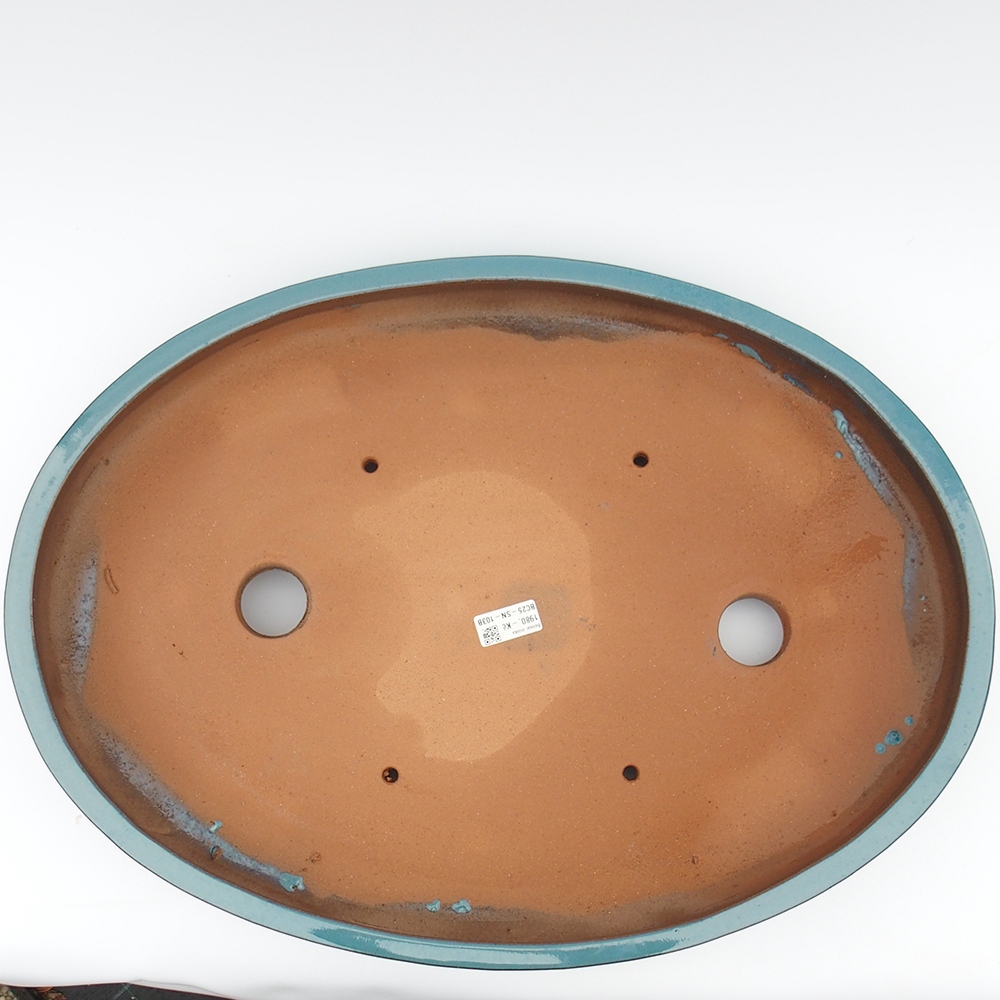 Ciotola 61 x 44 x 7,5 cm blu