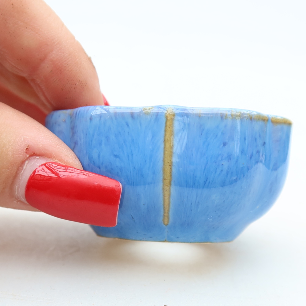 Vaso da bonsai in ceramica 6 x 6 x 3 cm, colore blu