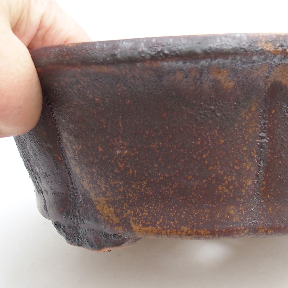 Ciotola bonsai in ceramica 26 x 26 x 8 cm, marrone