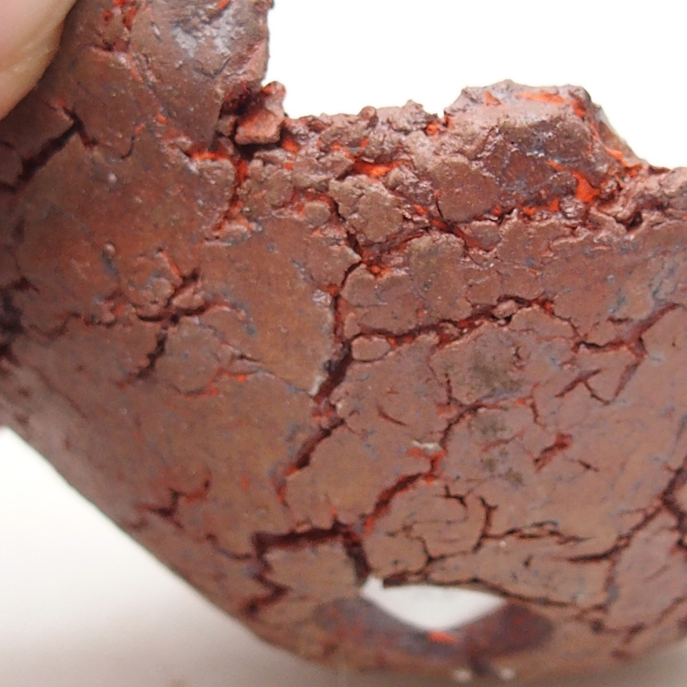 Conchiglia in ceramica 7 x 7 x 3 cm , colore arancione