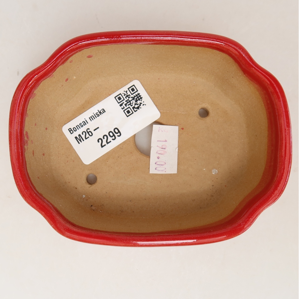 Vaso da bonsai in ceramica 10,5 x 8 x 4 cm, colore rosso