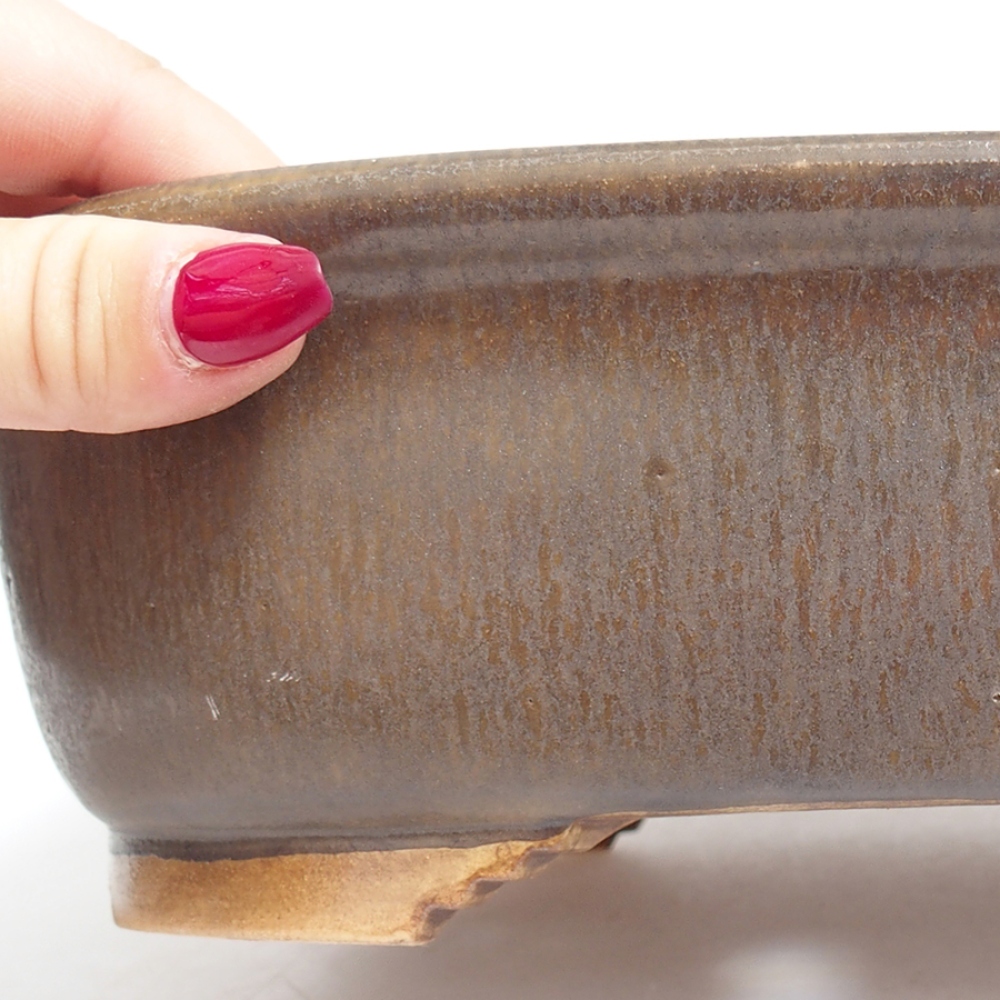Ciotola per bonsai in ceramica 25 x 21 x 7,5 cm, marrone