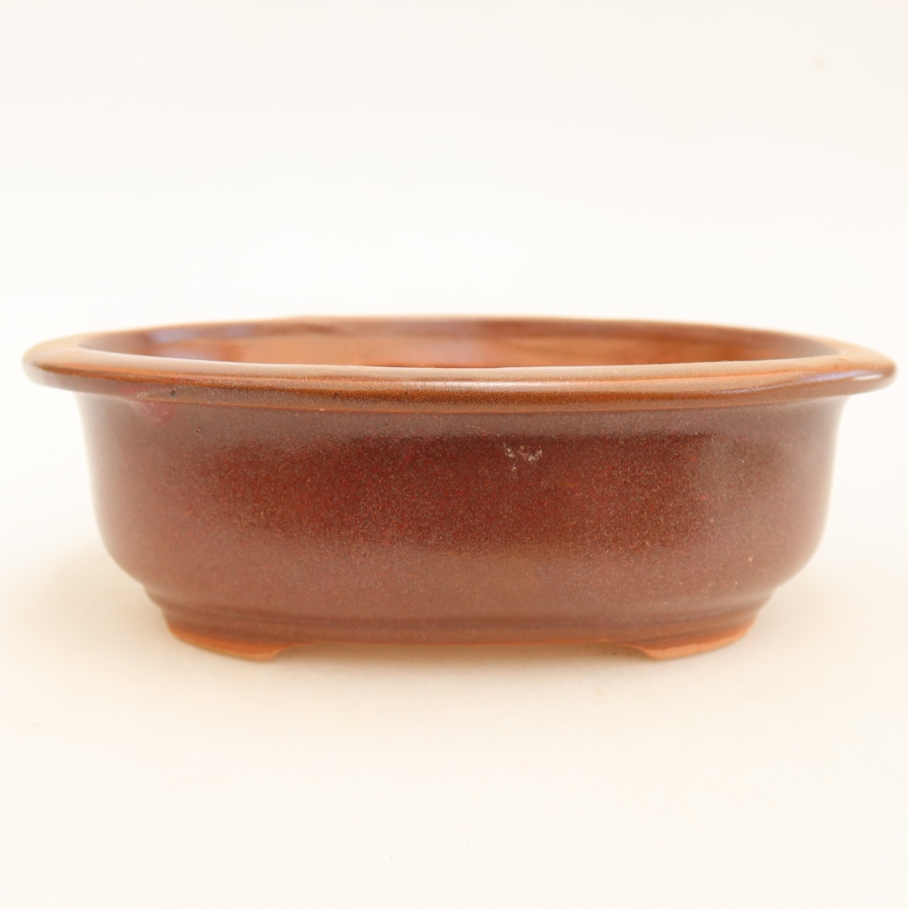 Vaso da bonsai in ceramica 18 x 14,5 x 5,5 cm, colore bordeaux