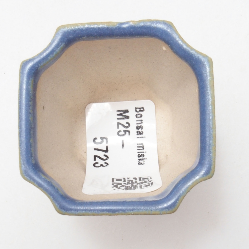 Mini bonsai 4 x 4 x 4 cm, colore blu