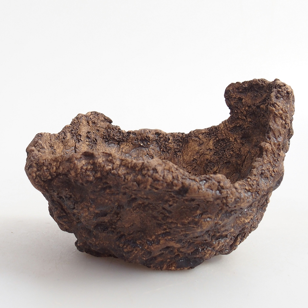 Conchiglia in ceramica 9 x 8 x 7 cm , colore marrone