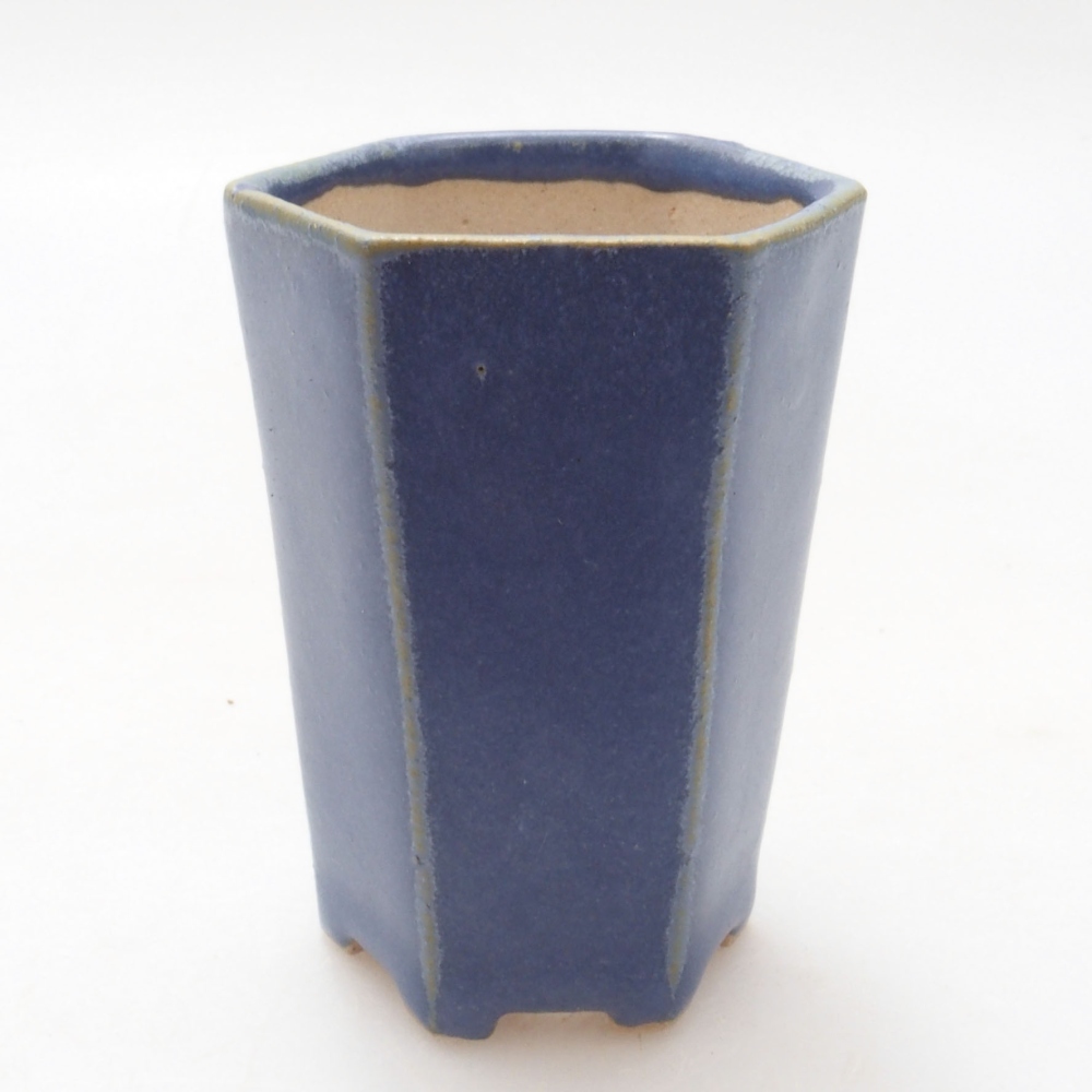 Mini bonsai 4,5 x 4,5 x 6,5 cm, colore blu