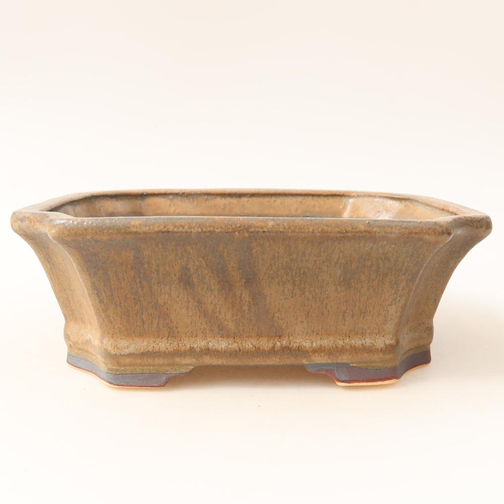 Vaso in ceramica per bonsai 18 x 15,5 x 6 cm, colore marrone