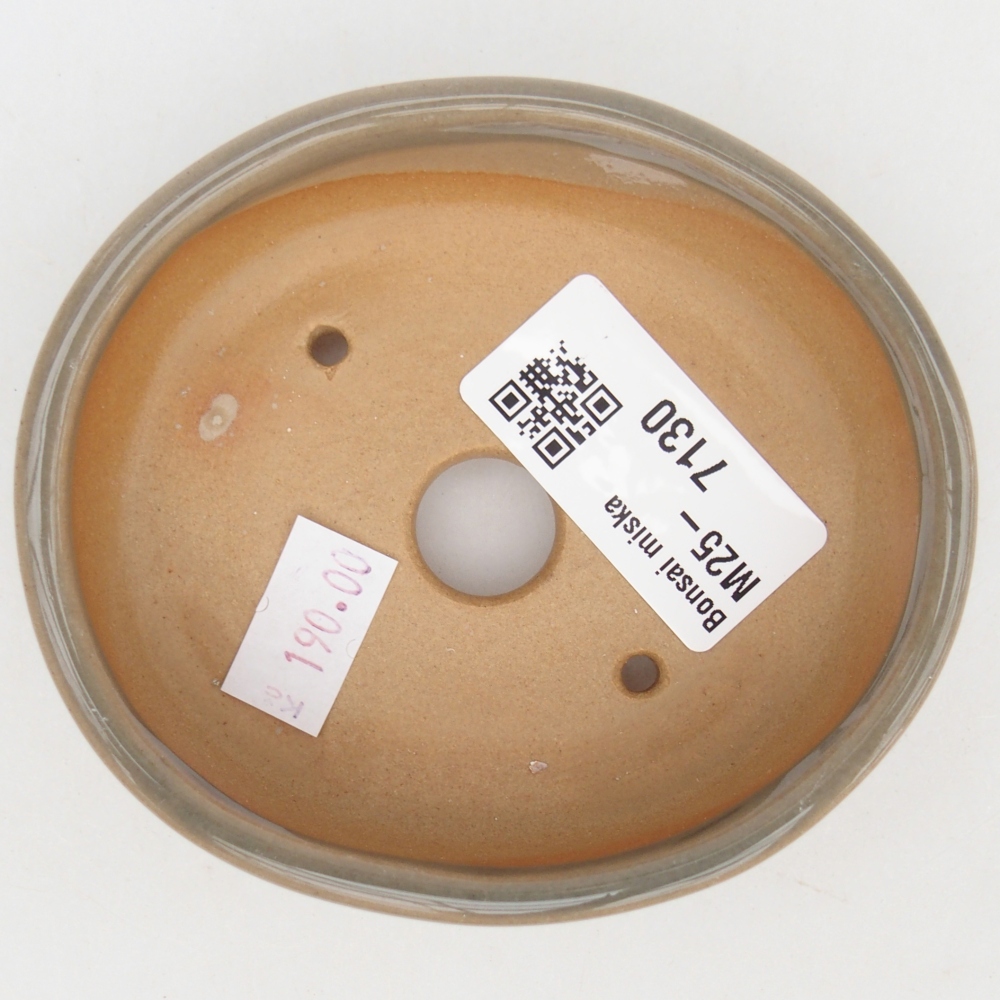 Ciotola bonsai in ceramica 26 x 26 x 8 cm, colore rosso