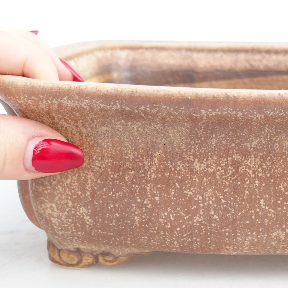 Ciotola bonsai in ceramica 25 x 20 x 7,5 cm, rosa