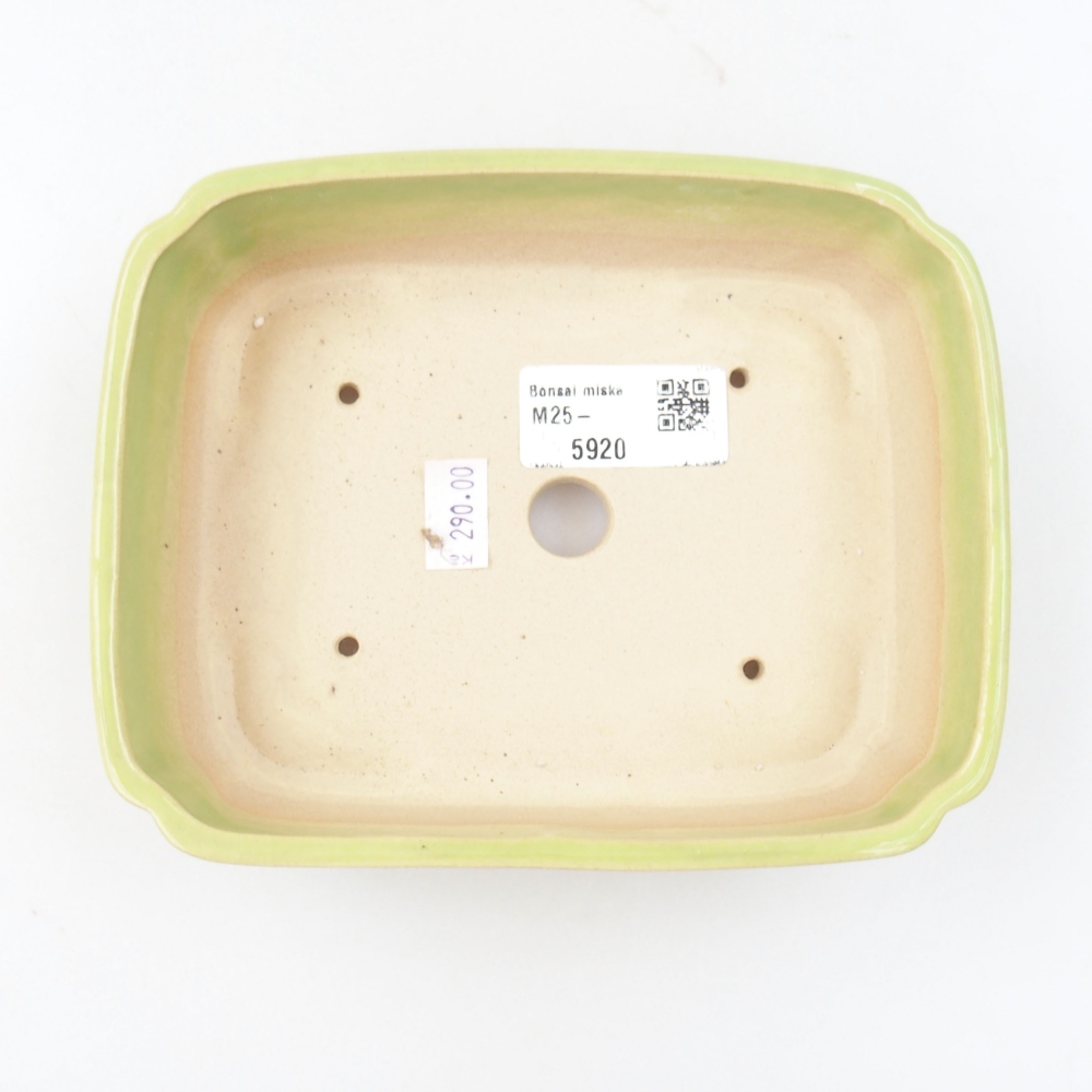 Ciotola bonsai in ceramica 22 x 17 x 5 cm, verde