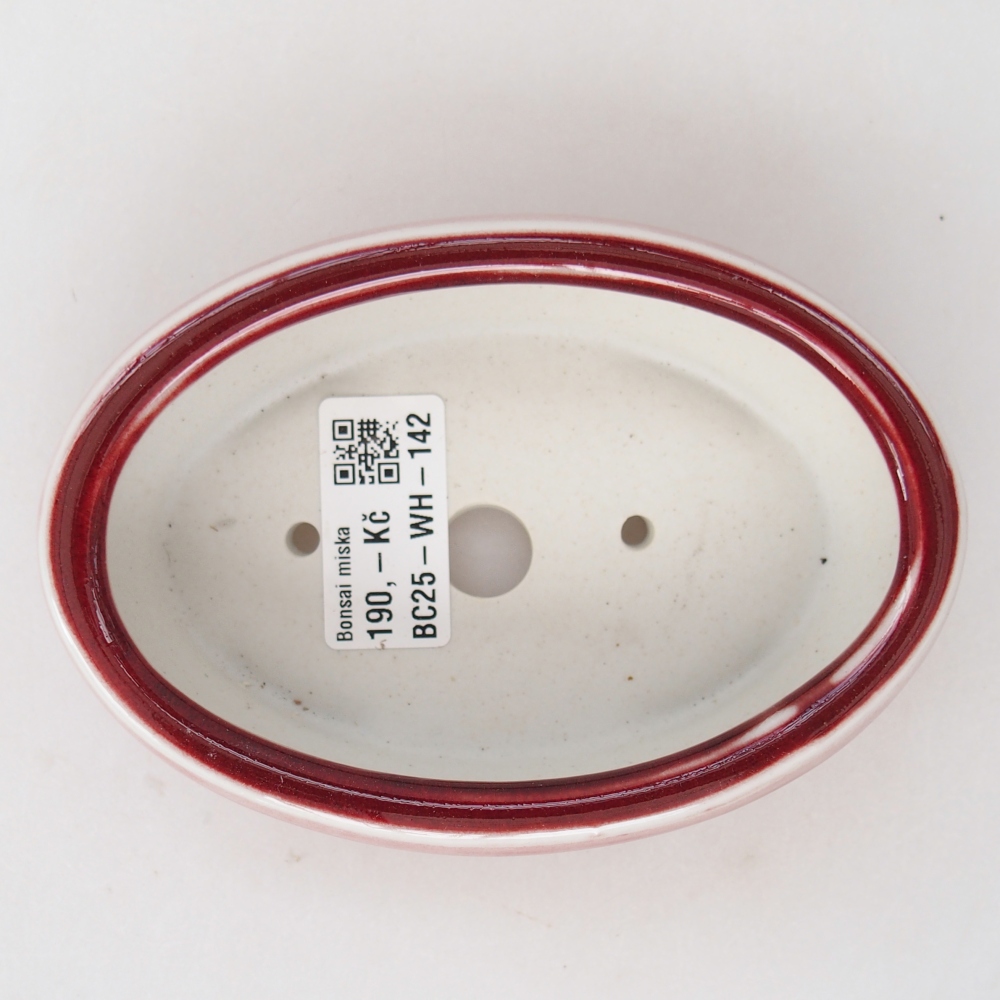 Ciotola per bonsai in ceramica 13 x 8,5 x 4 cm, colore rosso