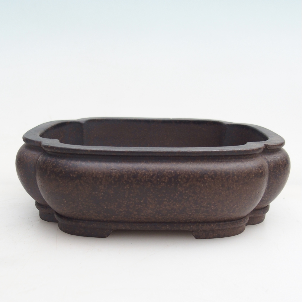 Ciotola per bonsai in ceramica 14 x 11 x 4,5 cm, colore marrone ocra