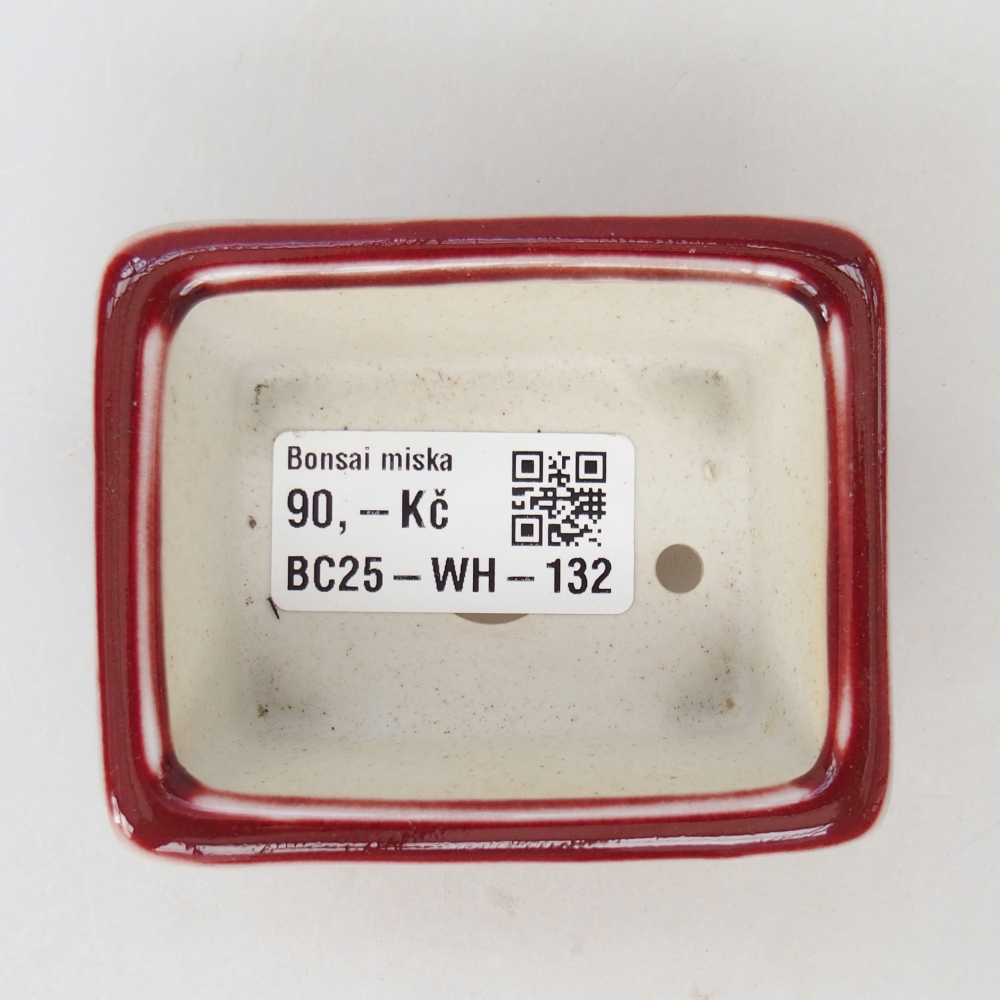 Mini bonsai 7,5 x 6,5 x 3,5 cm, colore rosso