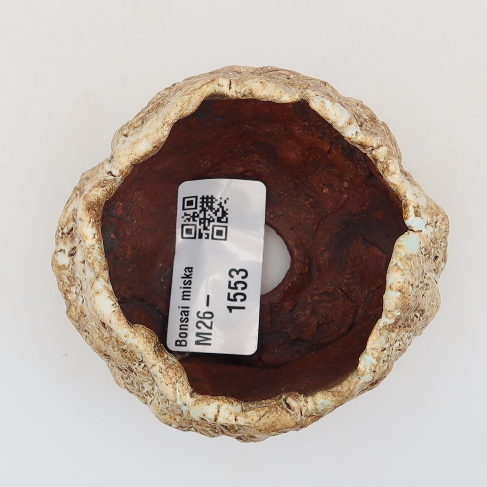 Conchiglia in ceramica  5,5 x 5,5 x 5,5 cm, colore beige-marrone