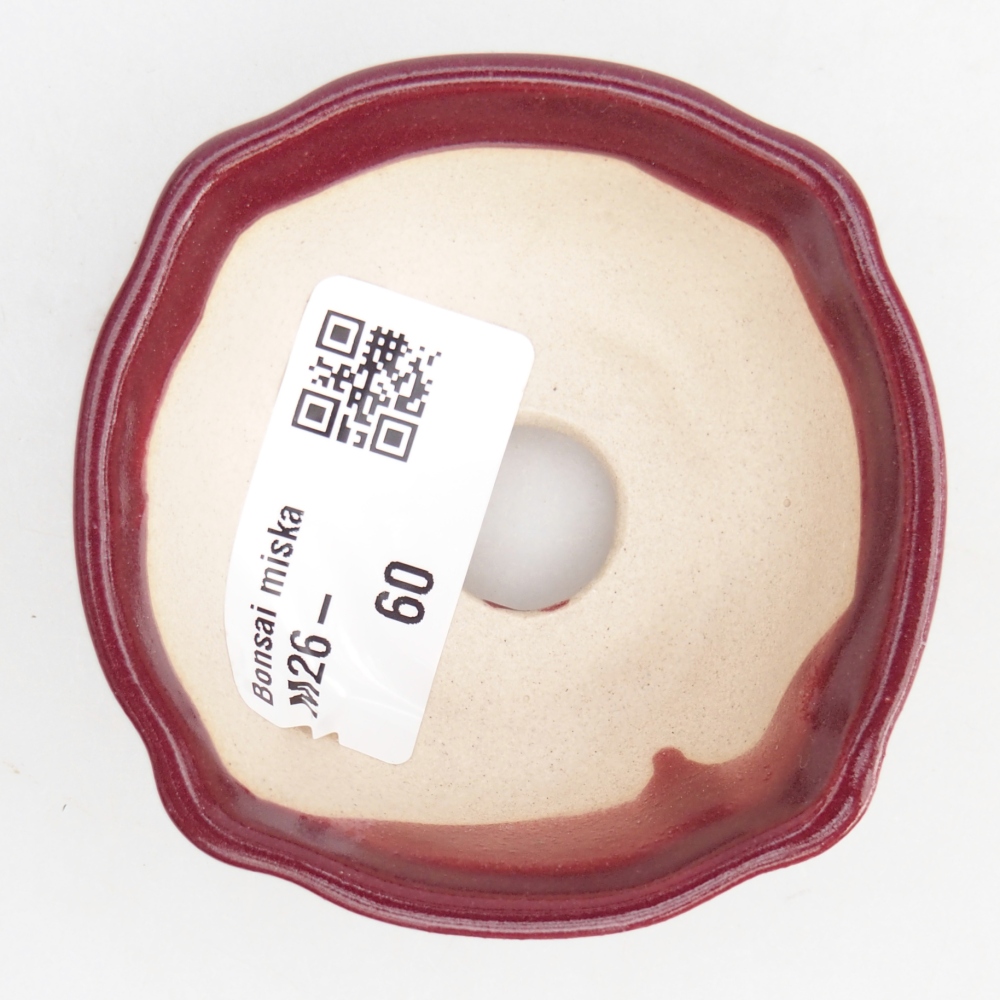 Ciotola per mini bonsai 6,5 x 6,5 x 3 cm, bordeaux